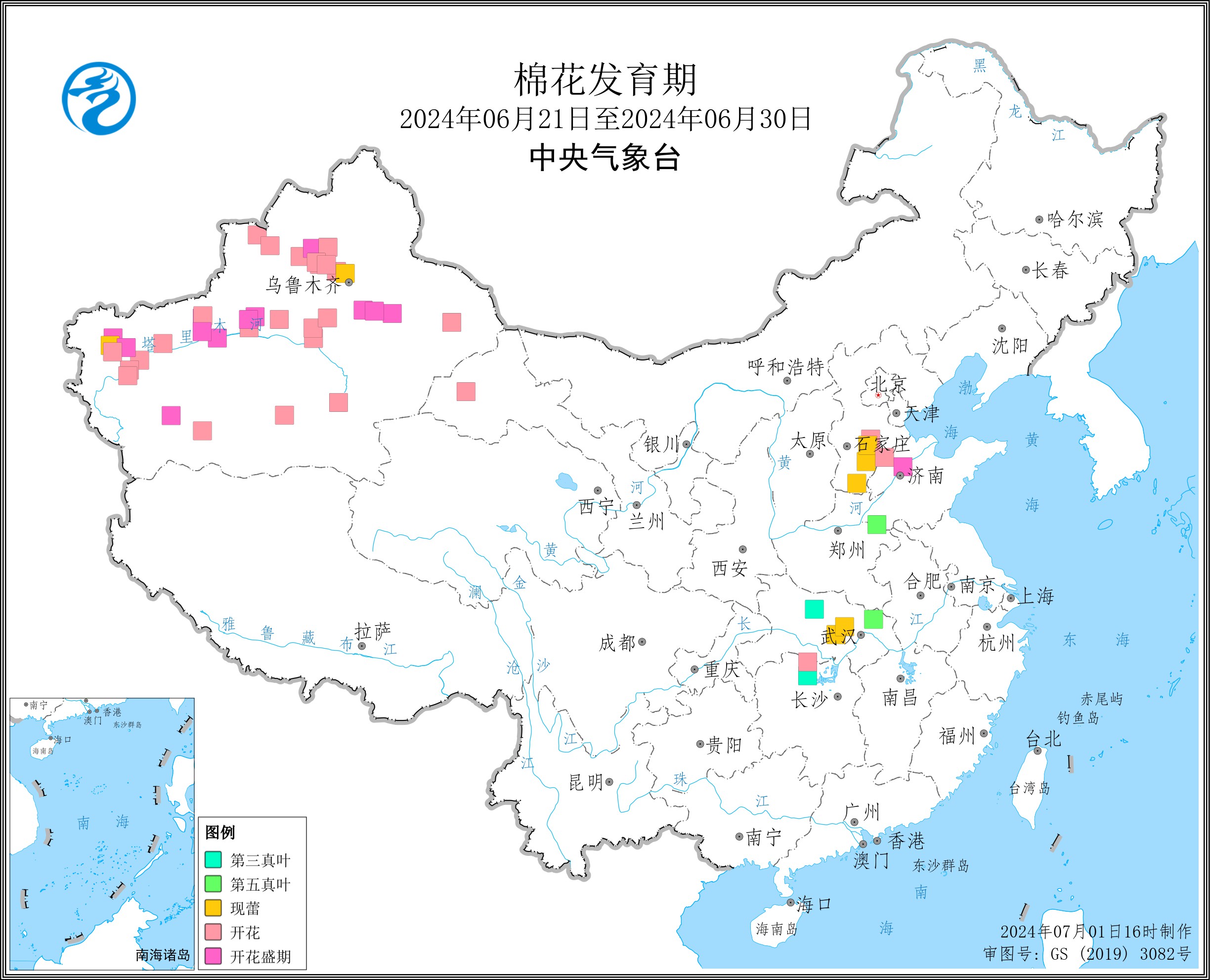 2024年6月下旬棉花发育期.jpg