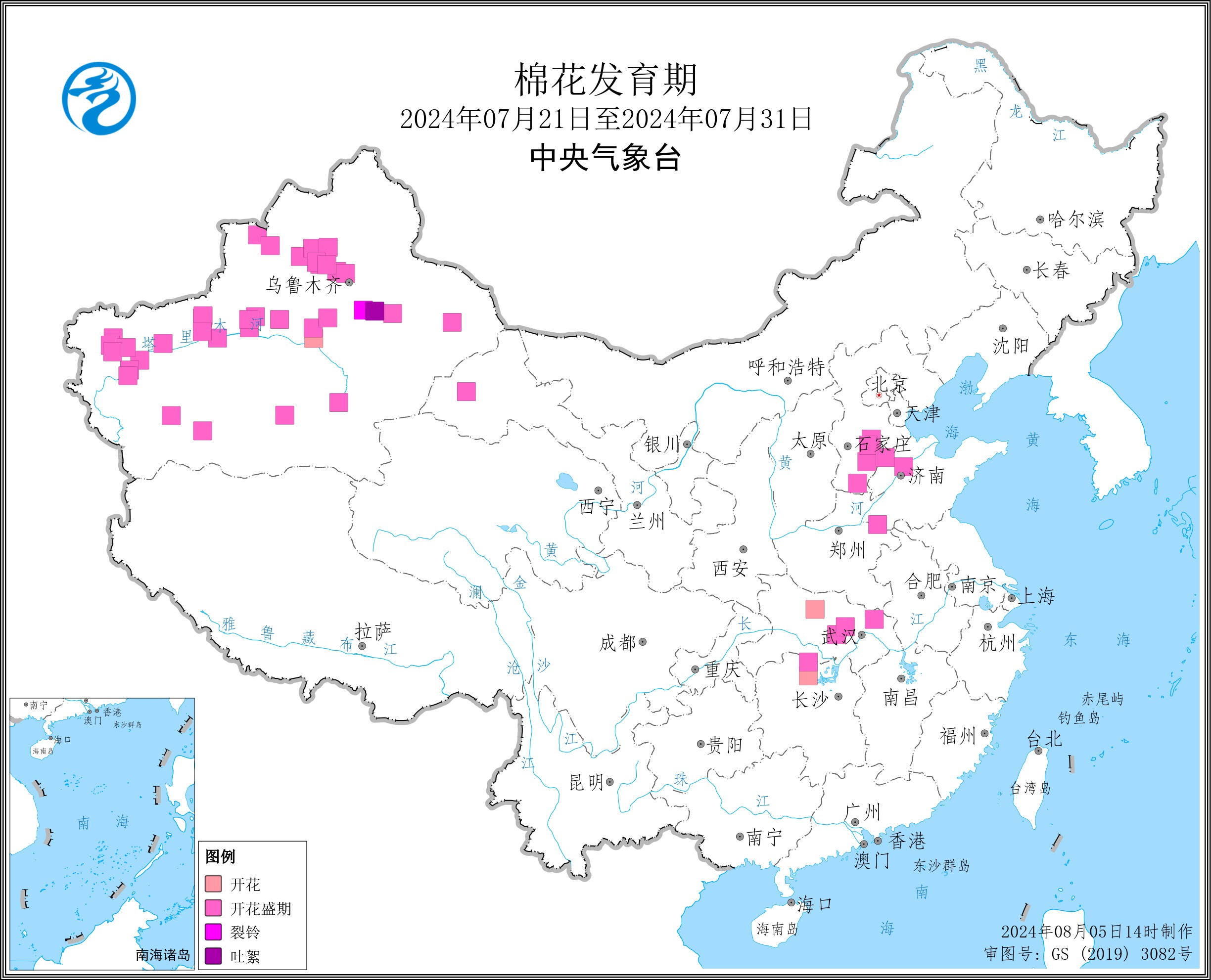 2024年7月下旬棉花发育期.jpg
