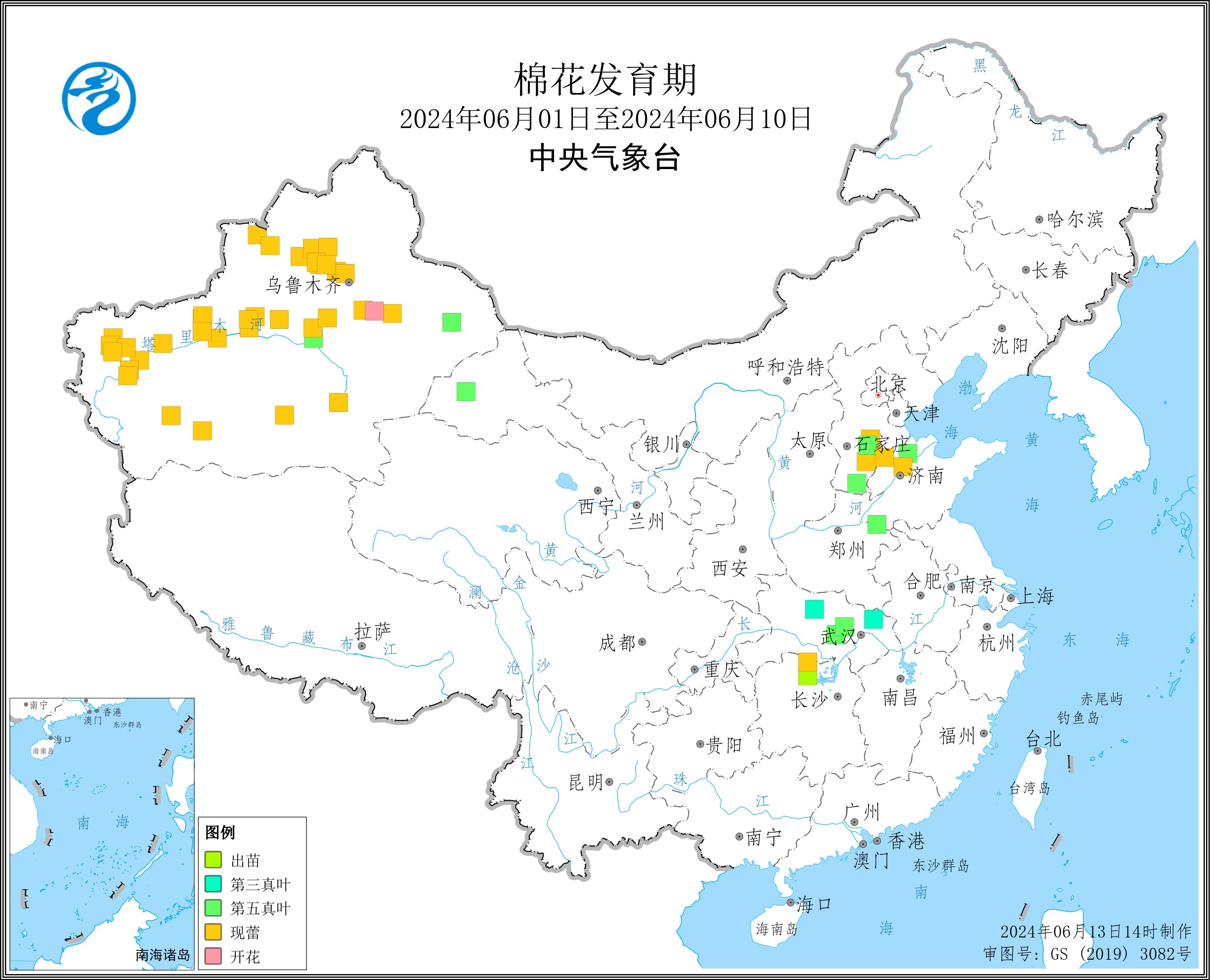 2024年6月上旬棉花发育期.jpg