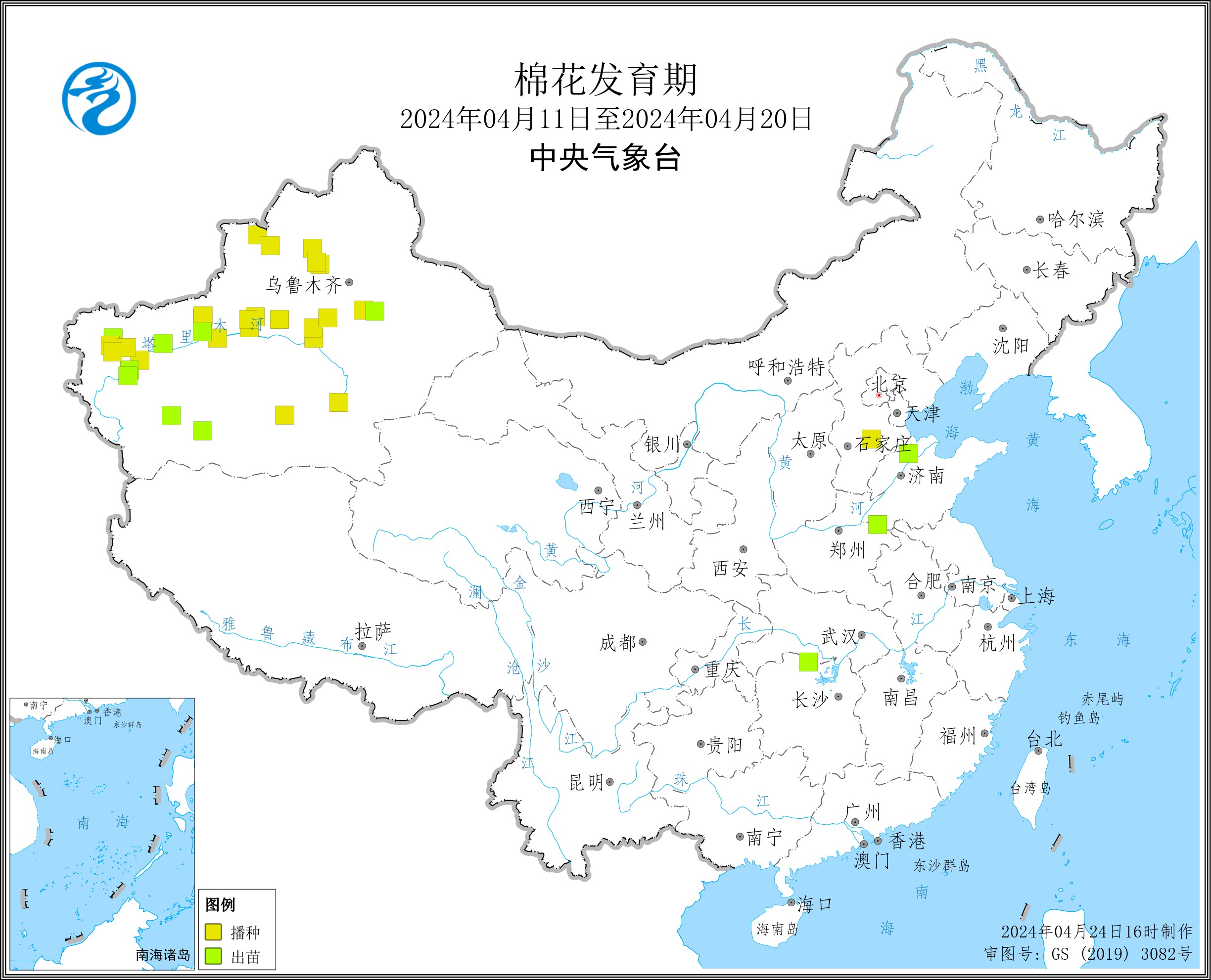 2024年4月中旬棉花发育期.jpg